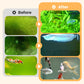 Algae & Moss Remover for Fish Tank - Safe Water Purification