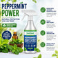 👍Hot Sale- Buy 2 Get 1 Free🗑️Natural Peppermint Oil Insect and Pest Spray🪳🦟 –Maximum Strength - Safe Scent Formula for Home & Garden
