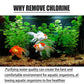 🎉Buy 2 Get 1 Free🎉Fish Ponds Aquariums Chlorine Removal Tablets