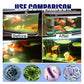 🎉Buy 2 Get 1 Free🎉Fish Ponds Aquariums Chlorine Removal Tablets