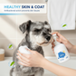 Pet No-Rinse Deodorizing Foam Shampoo