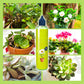 🌿【All-Purpose Indoor & Outdoor Plant Nutrient】—One bottle in hand, the world is yours!🌱🏡✨