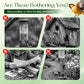 Teardrop-Shaped Hanging Bird Feeder