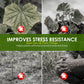Rapid Green-Up Foliar Fertilizer