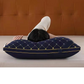 Ergonomic Neck Support Pillow with Quick Rebound Fill