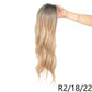 Wavy Curly Wig with Front Lace Design