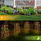 💡 BUY 3 GET 1 FREE! ☀️ Solar Powered Outdoor Decor Lights – Beautiful Garden & Pathway Ambiance, Auto On/Off & Weatherproof 🏡