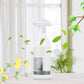 💧 Mildew Remover for Walls – Clings to Vertical Surfaces, No Drip, Eliminates Odors & Easy Spray-On Application 🏠