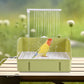 Automatic Parakeet Bird Bath with Pump