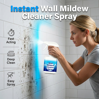 Portable High Efficiency Wall Mildew Cleaner Spray