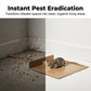 ⏰50% OFF NOW!⛹️Fast Shipping 🚚💨High-Viscosity Mouse & Rat Glue