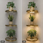🎉 2026 Sale — Over 39,000 Sold!✨ Floating Shelf with Built-in LED Light 🪴