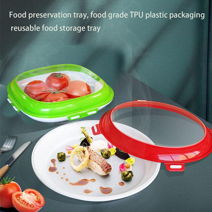 Airtight Freshness Storage Tray