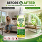 🥳HOT SALE! Plant-Based Insect Repellent Spray 🌿✨