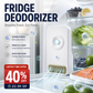 Electronic Refrigerator Odor Eliminator