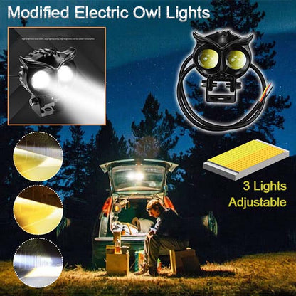 Modified Spotlights Owl Electric Lights