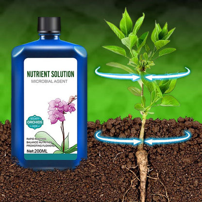 Orchids Plant Concentrated Nutrient Solution